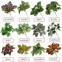 uploads/erp/collection/images/Home Garden/CongDing/XU0611851/img_b/XU0611851_img_b_3